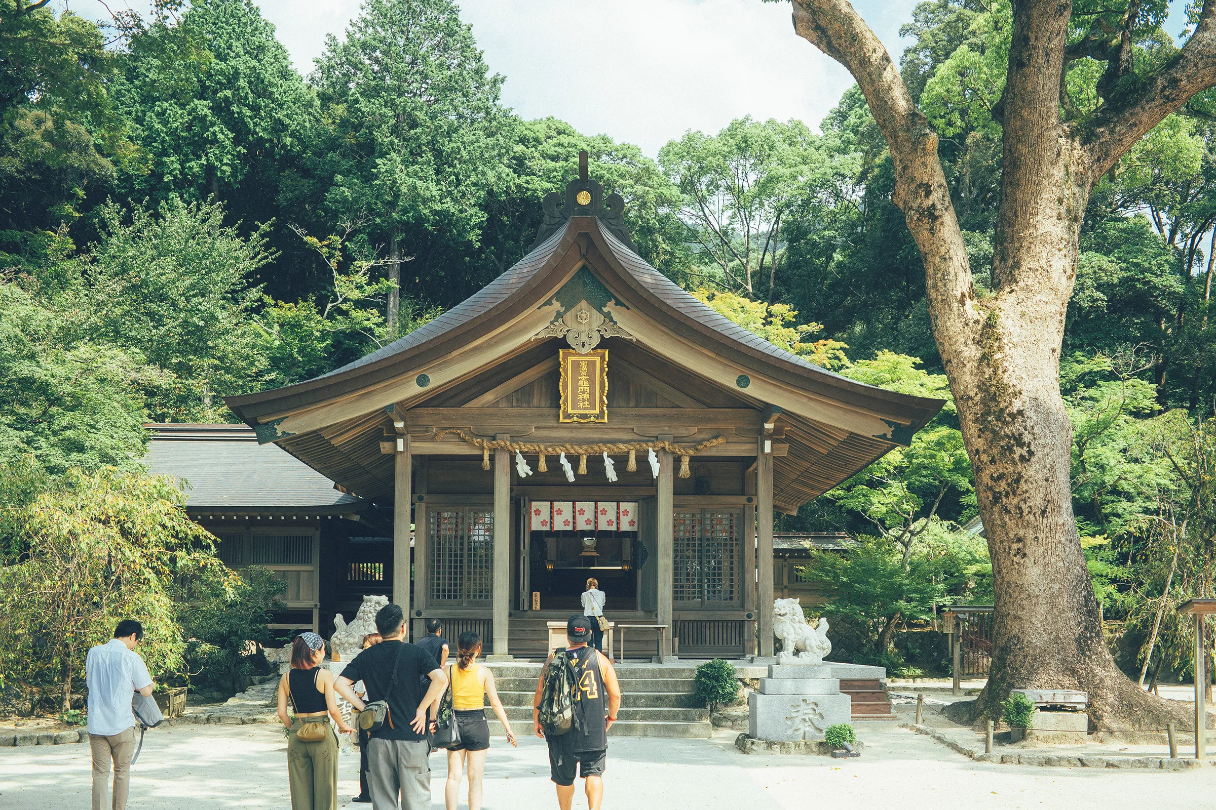 福岡県 竈門神社の写真